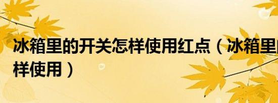 冰箱里的开关怎样使用红点（冰箱里的开关怎样使用）