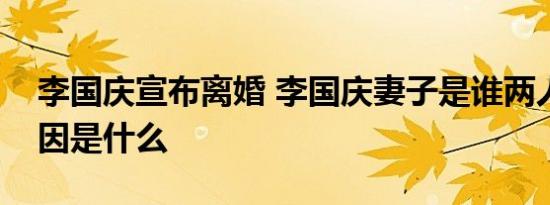李国庆宣布离婚 李国庆妻子是谁两人互撕起因是什么