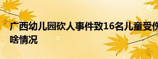 广西幼儿园砍人事件致16名儿童受伤 现场是啥情况