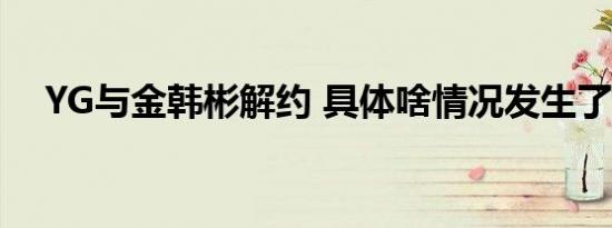 YG与金韩彬解约 具体啥情况发生了什么