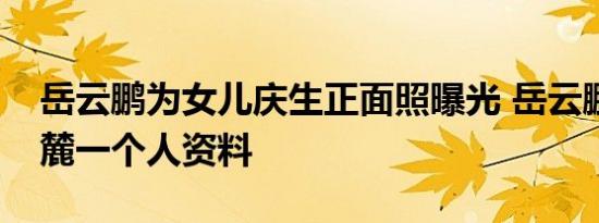 岳云鹏为女儿庆生正面照曝光 岳云鹏女儿岳麓一个人资料
