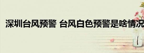 深圳台风预警 台风白色预警是啥情况（图）