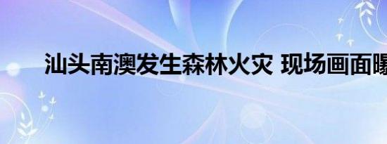 汕头南澳发生森林火灾 现场画面曝光