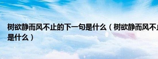 树欲静而风不止的下一句是什么（树欲静而风不止的后一句是什么）