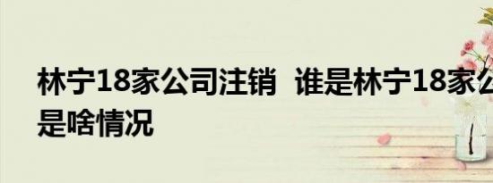 林宁18家公司注销 谁是林宁18家公司注销是啥情况