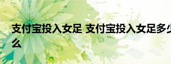 支付宝投入女足 支付宝投入女足多少钱为什么
