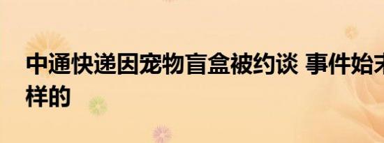 中通快递因宠物盲盒被约谈 事件始末是怎么样的