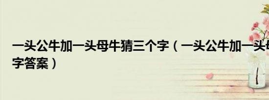 一头公牛加一头母牛猜三个字（一头公牛加一头母牛猜三个字答案）