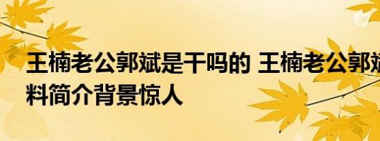 王楠老公郭斌是干吗的 王楠老公郭斌个人资料简介背景惊人
