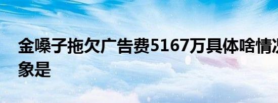 金嗓子拖欠广告费5167万具体啥情况拖欠对象是