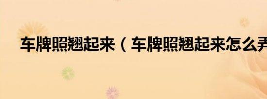 车牌照翘起来（车牌照翘起来怎么弄平）
