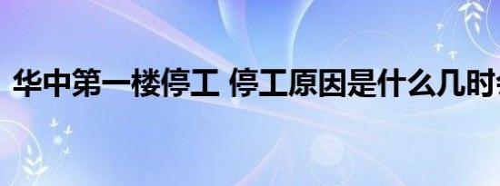 华中第一楼停工 停工原因是什么几时会复工