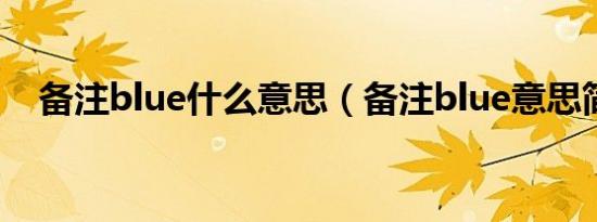 备注blue什么意思（备注blue意思简述）