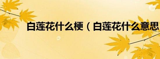 白莲花什么梗（白莲花什么意思）