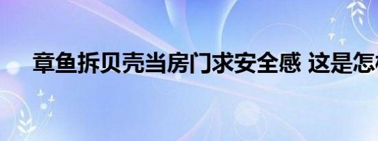 章鱼拆贝壳当房门求安全感 这是怎样的