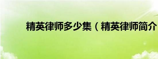 精英律师多少集（精英律师简介）