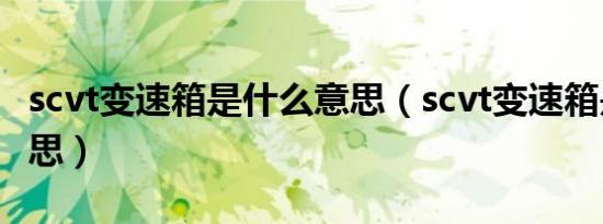 scvt变速箱是什么意思（scvt变速箱是什么意思）