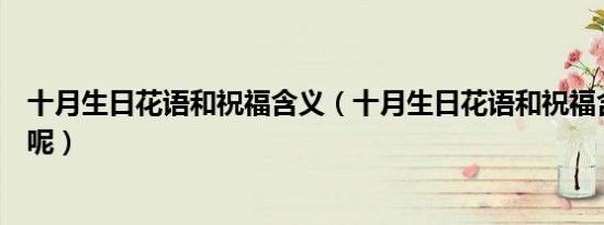 十月生日花语和祝福含义（十月生日花语和祝福含义是什么呢）
