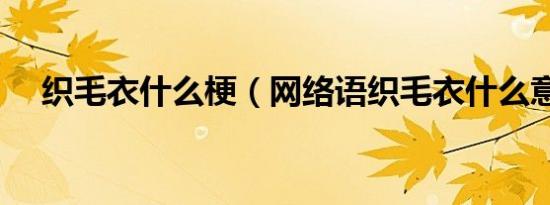 织毛衣什么梗（网络语织毛衣什么意思）
