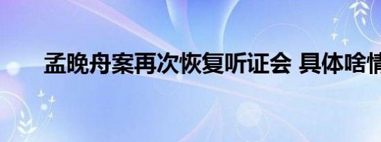 孟晚舟案再次恢复听证会 具体啥情况