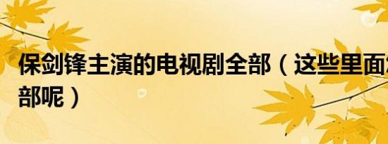 保剑锋主演的电视剧全部（这些里面您看过几部呢）