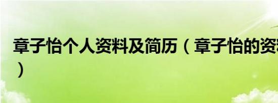 章子怡个人资料及简历（章子怡的资料大盘点）