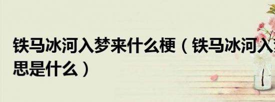 铁马冰河入梦来什么梗（铁马冰河入梦来的意思是什么）