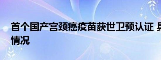 首个国产宫颈癌疫苗获世卫预认证 具体是啥情况