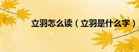立羽怎么读（立羽是什么字）