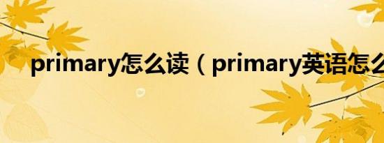 primary怎么读（primary英语怎么读）