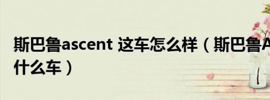 斯巴鲁ascent 这车怎么样（斯巴鲁Ascent是什么车）