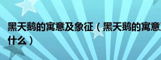 黑天鹅的寓意及象征（黑天鹅的寓意及象征是什么）