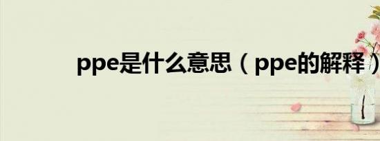 ppe是什么意思（ppe的解释）