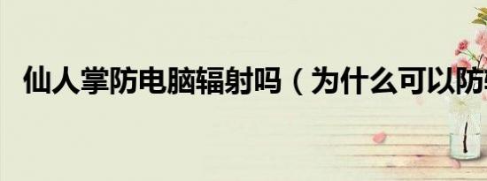 仙人掌防电脑辐射吗（为什么可以防辐射）