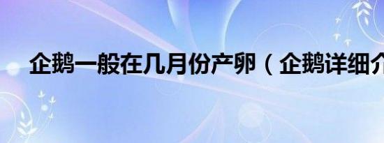 企鹅一般在几月份产卵（企鹅详细介绍）