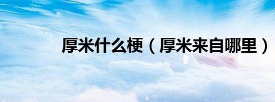 厚米什么梗（厚米来自哪里）