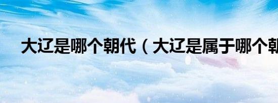 大辽是哪个朝代（大辽是属于哪个朝代）