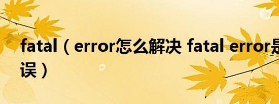 fatal（error怎么解决 fatal error是什么错误）