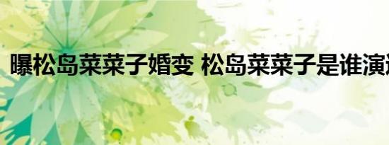 曝松岛菜菜子婚变 松岛菜菜子是谁演过什么