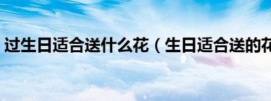 过生日适合送什么花（生日适合送的花介绍）