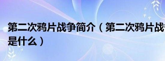 第二次鸦片战争简介（第二次鸦片战争的后果是什么）
