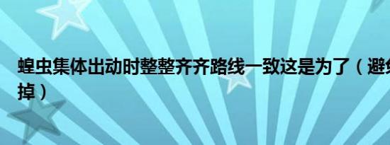 蝗虫集体出动时整整齐齐路线一致这是为了（避免被同类吃掉）