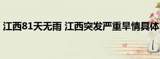 江西81天无雨 江西突发严重旱情具体啥情况