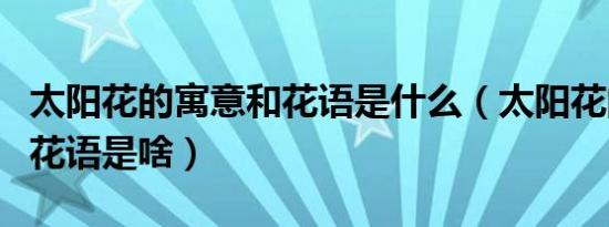 太阳花的寓意和花语是什么（太阳花的寓意和花语是啥）