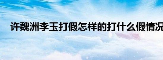 许魏洲李玉打假怎样的打什么假情况如何