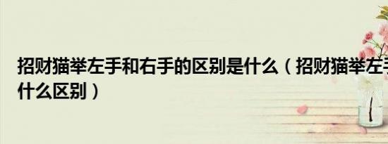招财猫举左手和右手的区别是什么（招财猫举左手和右手有什么区别）