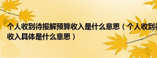 个人收到待报解预算收入是什么意思（个人收到待报解预算收入具体是什么意思）