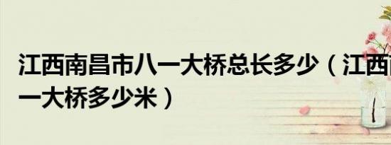 江西南昌市八一大桥总长多少（江西南昌市八一大桥多少米）