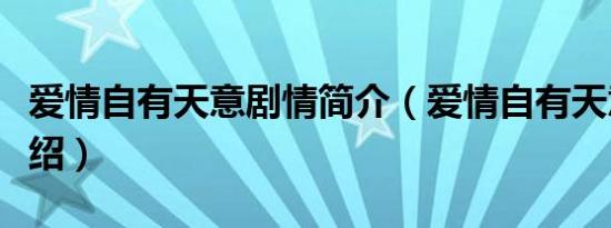 爱情自有天意剧情简介（爱情自有天意剧情介绍）