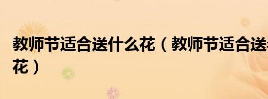 教师节适合送什么花（教师节适合送老师什么花）